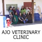 Business 4 image AJO VETERINARY CLINIC Veterinary Clinics & Hospitals in Tucson AZ