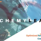 Business 2 image ALCHEMYLEADS - SEARCH ENGINE OPTIMIZATION COMPANY IN LOS ANGELES in Los Angeles CA