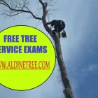 Business 3 image ALDINE TREE SERVICES HOUSTON STUMP GRINDING Tree Service in Houston TX