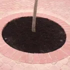 Business 2 image ALFREDO OLVERA LANDSCAPING Rockscapes in Weatherford TX