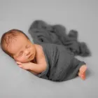 Business 3 image ALICEN LUM PHOTOGRAPHY Photography & Videography in Federal Way WA