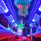 Business 1 image ALIVE LIMO AND PARTY BUS in San Diego CA