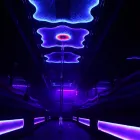 Business 4 image ALIVE LIMO AND PARTY BUS in San Diego CA
