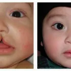 Business 2 image ALIZADEH COSMOPLASTIC SURGERY Clinical Research in New York NY