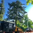 Business 1 image ALL AROUND ARBOR TREE SERVICE Tree Service in Portland OR