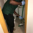 Business 24 image ALL AROUND CLEANING SERVICE Move-in Cleaning Services in Far Rockaway NY