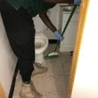 Business 36 image ALL AROUND CLEANING SERVICE Move-in Cleaning Services in Far Rockaway NY