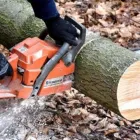 Business 5 image ALL BACKYARD PRO Yard Debris Removal in Sacramento CA