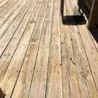 Business 1 image ALL BRIGHT TOTAL HOME CARE, LLC in Lexington SC