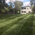 Business 1 image ALL ONE LANDSCAPE Turf & Lawn Suppliers in San Jose CA