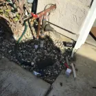 Business 17 image ALL PRO REPIPES INC in San Jose CA