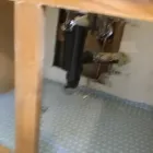 Business 23 image ALL PRO REPIPES INC in San Jose CA