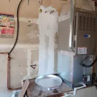 Business 33 image ALL PRO REPIPES INC in San Jose CA