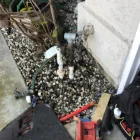 Business 40 image ALL PRO REPIPES INC in San Jose CA