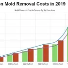 Business 2 image ALL US MOLD TESTING & INSPECTION TUCSON Home Improvements in Tucson AZ
