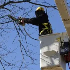 Business 1 image ALLEN CONSTRUCTION AND TREE SERVICE, LLC Tree Service in St. Louis MO