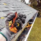 Business 2 image ALLEN CONSTRUCTION AND TREE SERVICE, LLC Tree Service in St. Louis MO