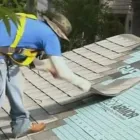Business 4 image ALLEN CONSTRUCTION AND TREE SERVICE, LLC Tree Service in St. Louis MO