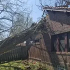 Business 5 image ALLEN CONSTRUCTION AND TREE SERVICE, LLC Tree Service in St. Louis MO