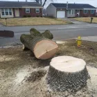 Business 9 image ALLEN CONSTRUCTION AND TREE SERVICE, LLC Tree Service in St. Louis MO