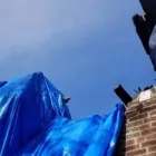 Business 10 image ALLEN CONSTRUCTION AND TREE SERVICE, LLC Tree Service in St. Louis MO
