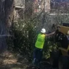 Business 12 image ALLEN CONSTRUCTION AND TREE SERVICE, LLC Tree Service in St. Louis MO