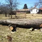Business 13 image ALLEN CONSTRUCTION AND TREE SERVICE, LLC Tree Service in St. Louis MO