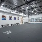 Business 2 image ALLIANCE JIU JITSU | BRUNO MALFACINE Self Defense in Orlando FL