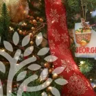 Business 9 image ALLRED DENTISTRY in Hampton GA