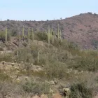 Business 1 image ALLSTATES LAND SURVEYORS Residential Property Surveyors in Tucson AZ