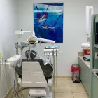 Business 5 image ALPHA DENTAL MIAMI SOUTH WEST Orthodontists in Miami FL