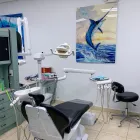 Business 6 image ALPHA DENTAL MIAMI SOUTH WEST Orthodontists in Miami FL