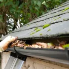 Business 4 image ALPHA & OMEGA ENTERPRISES, LLC Gutter Cleaning in Houston TX