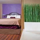 Business 4 image ALURA INN Lodging in San Jose CA