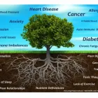Business 6 image ALVIGA NUTRITION in Los Angeles CA