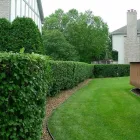 Business 1 image AM LANDSCAPE ARTS Exterior Lighting in Henrico VA