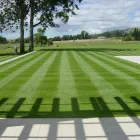 Business 5 image AM LANDSCAPE ARTS Exterior Lighting in Henrico VA