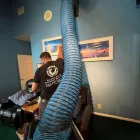 Business 1 image AMERICA AIR DUCT CLEANING SERVICES Cleaning Services in San Antonio TX