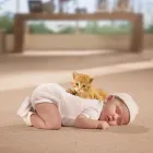 Business 7 image AMERICA FLOOR & DESIGN Tile & Terrazzo Contractors in Orange CA