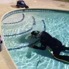 Business 6 image AMERICAN LEAK DETECTION OF PORTLAND Plumbers in Portland OR