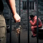 Business 2 image AMERICAS BAIL BONDS in Houston TX