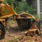 Business 1 image ANDREW TREE SERVICE Tree Service in Riverside CA