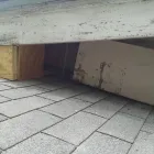 Business 6 image ANIMAL DAMAGE TRAPPING & CONSTRUCTION Pets & Animals in Lincoln NE