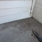 Business 13 image ANIMAL DAMAGE TRAPPING & CONSTRUCTION Pets & Animals in Lincoln NE