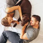 Business 4 image ANIMAL KINGDOM GROOMING & DAYCARE - DECATUR puppy grooming in North Las Vegas NV