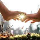 Business 10 image ANN MARIE SKIN Eyebrow Shaping in Austin TX