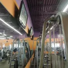 Business 2 image ANYTIME FITNESS Health Fitness Program Consultants in Minneapolis MN