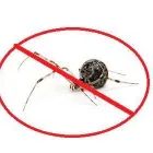 Business 1 image APEX PEST ELIMINATION bed bug removal in Oklahoma City OK