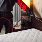 Business 3 image APEX PEST ELIMINATION bed bug removal in Oklahoma City OK