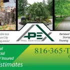Business 1 image APEX TREE SERVICES in Kansas City MO